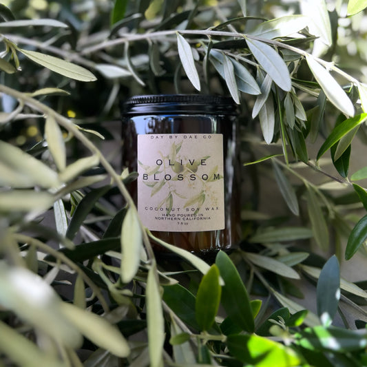 Olive Blossom